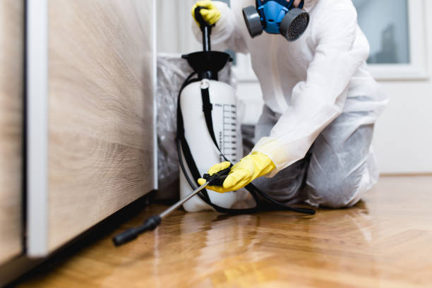 Best Best Pest Control Companies  in Bishop, CA