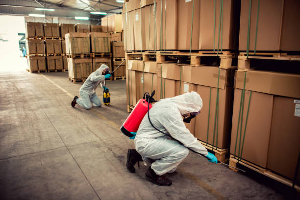 Best Flea Control Services  in Bishop, CA