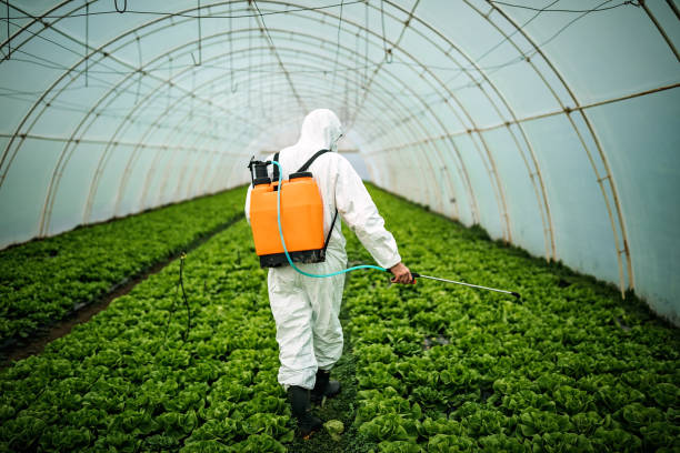 Reliable Bishop, CA Pest Control Solutions