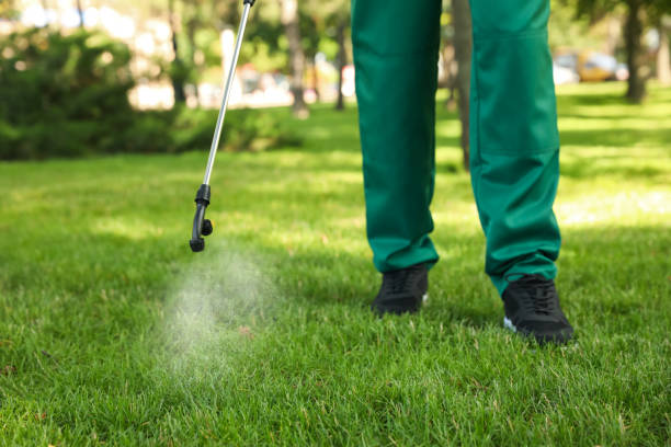 Best Pest Removal Services  in Bishop, CA