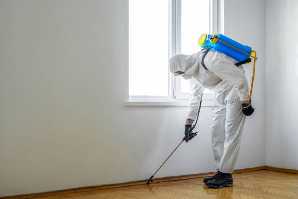 Best Pest Prevention Services  in Bishop, CA