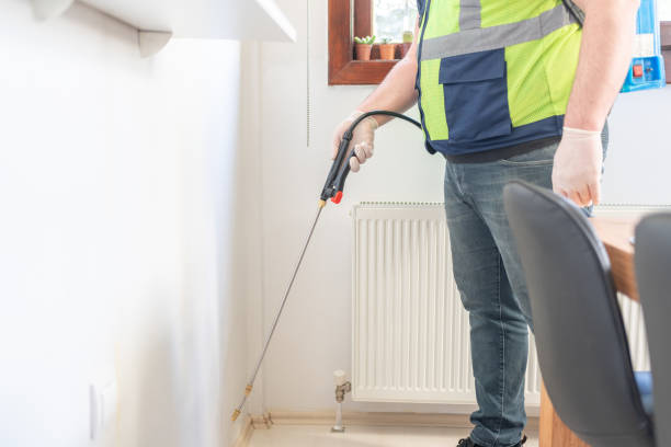 Best Local Pest Control Services  in Bishop, CA