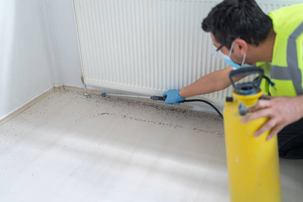 Best Insect Control  in Bishop, CA