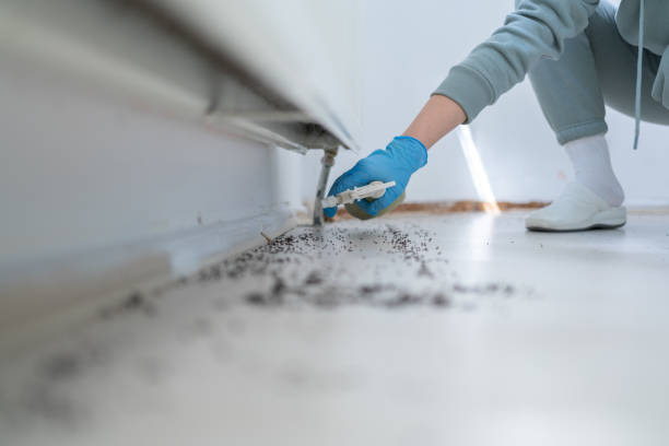 Best Affordable Pest Control Services  in Bishop, CA