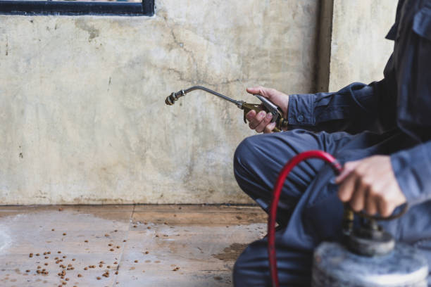 Best Residential Pest Control  in Bishop, CA